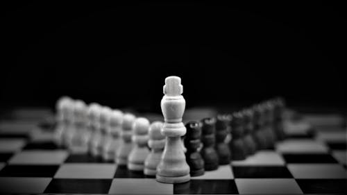 Black and White Chess Piece