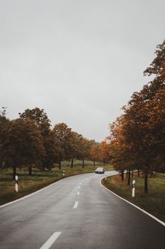 A car traveling on a scenic road lined with autumn trees, perfect for nature-inspired travel shots.
