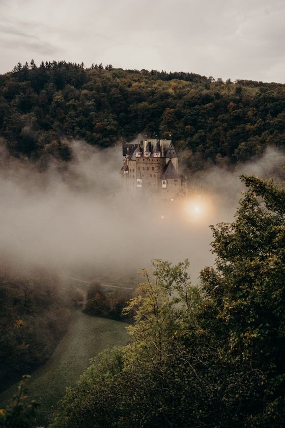 Castle in fog above a wooded valley, photo by Alesia Kozik on Pexels