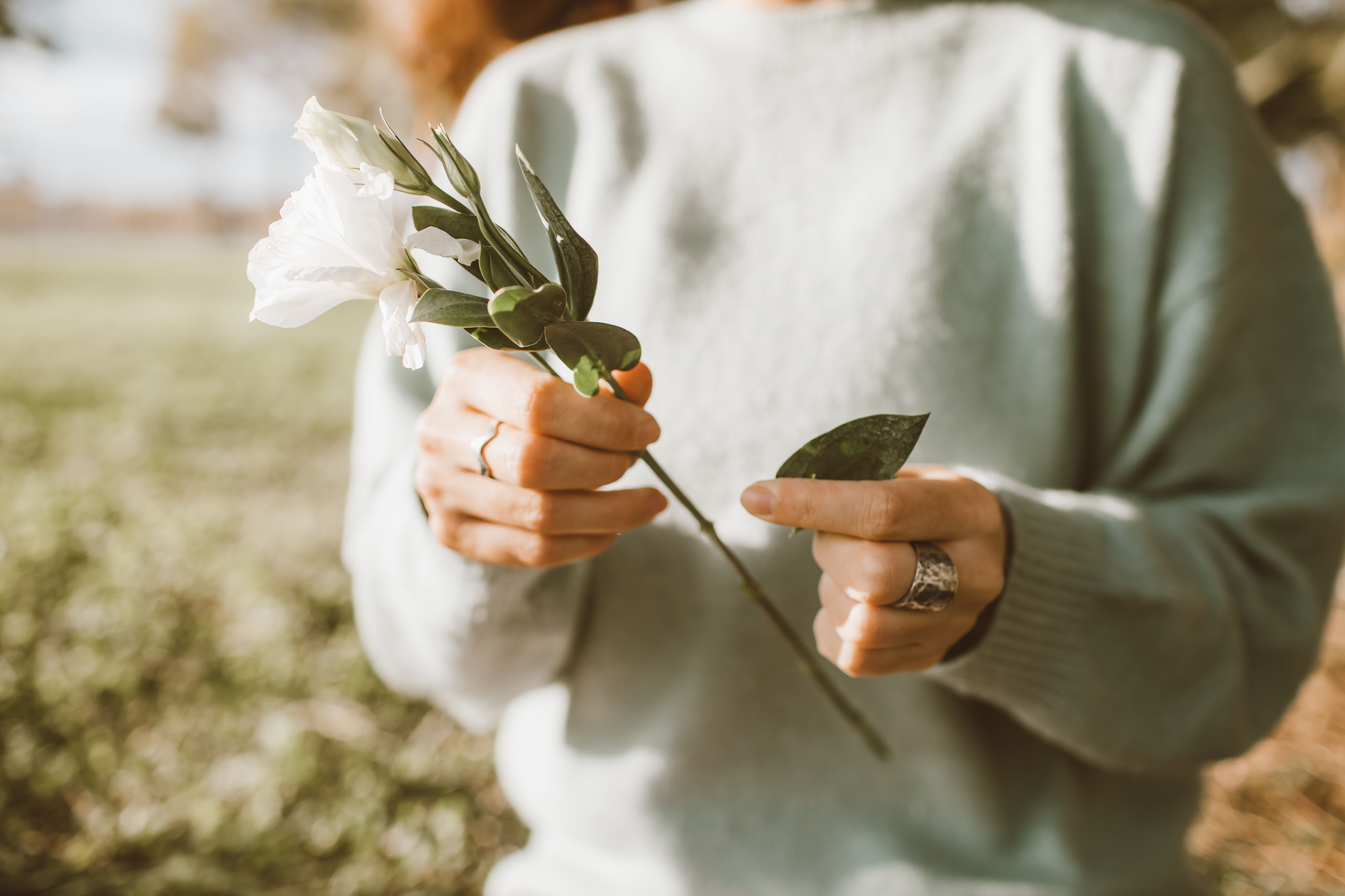 Lisianthus : Culture & Entretien Fleurs