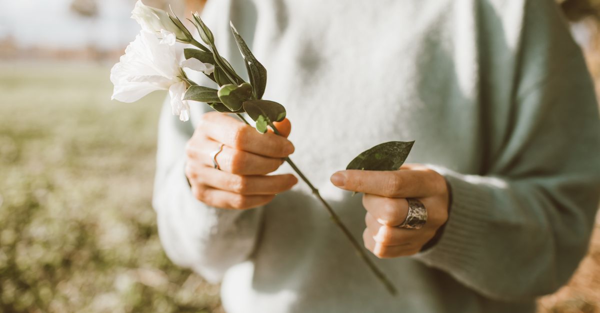 Lisianthus : Culture & Entretien Fleurs