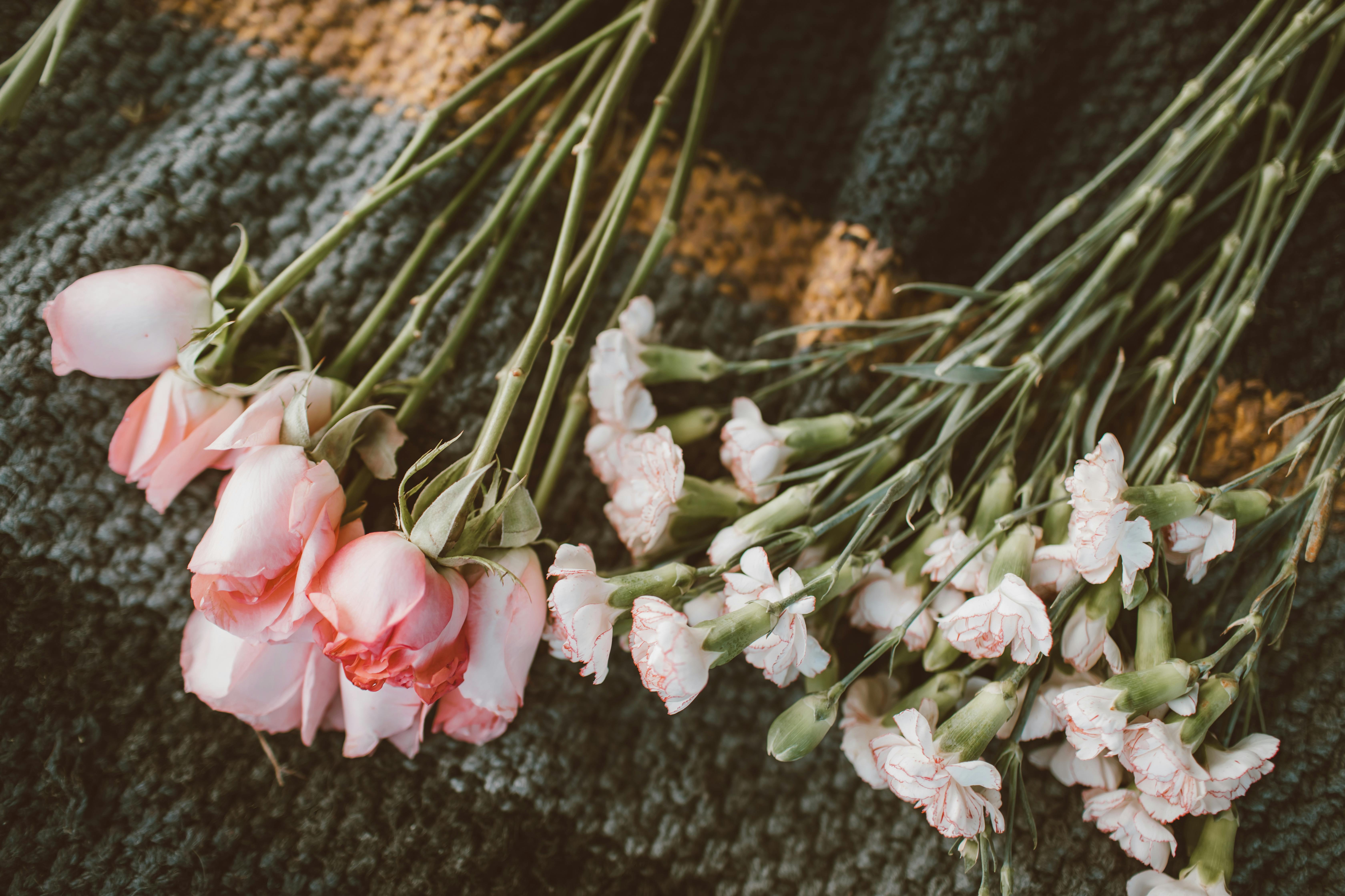 Aesthetic display of pink roses and carnations on textured knit fabric, capturing a cozy floral arrangement.