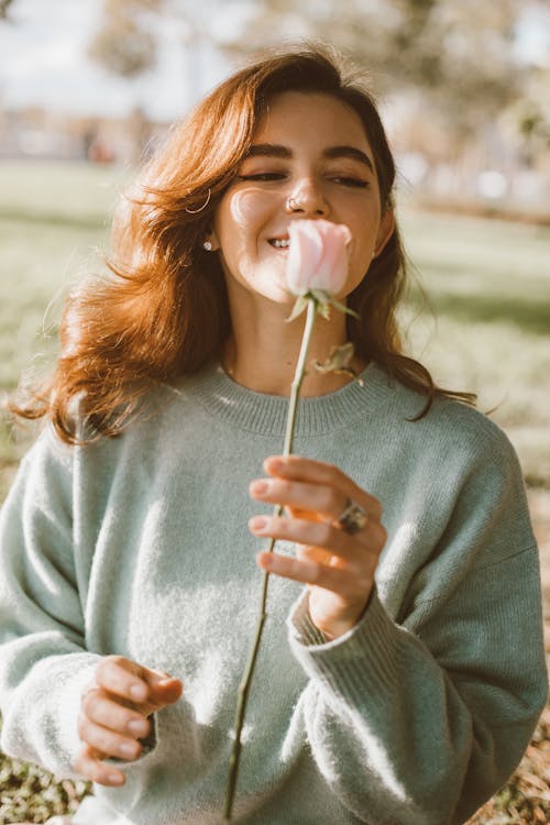 Free Woman in Gray Sweater Holding a Rose Stock Photo