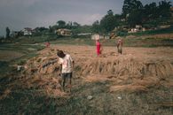 Unrecognizable ethnic farmers picking rice straw in countryside