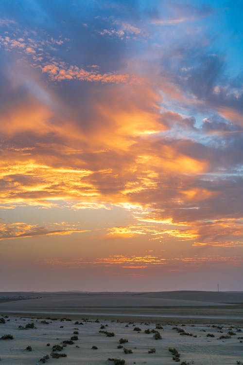 Spectacular landscape of sandy desert with rare dry vegetation under amazing cloudy sunset sky