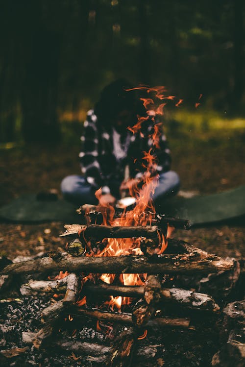 Free Burning Firewood on a Fire Pit Stock Photo
