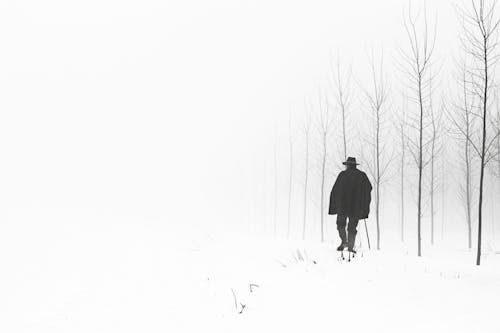 Free Back View of a Person Walking on Snow Covered Ground near the Leafless Trees Stock Photo