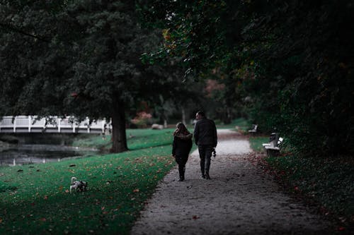 Couple Walking on Pathway With Their Dog On The Grass