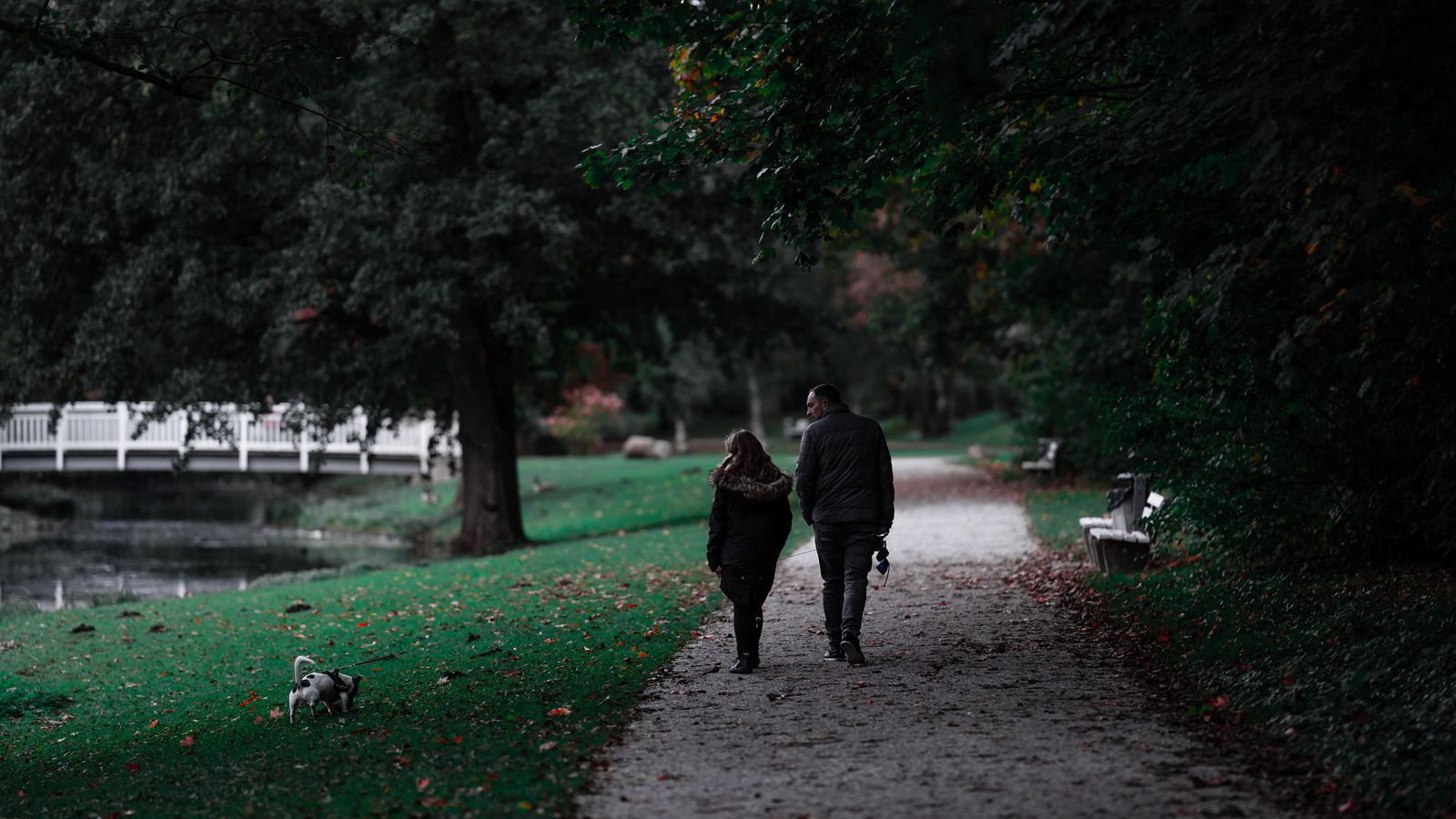 Couple walking their dog together on a park path