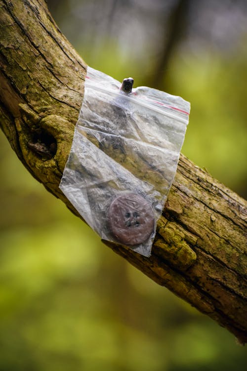 Plastic zip bag with button hanging on tree