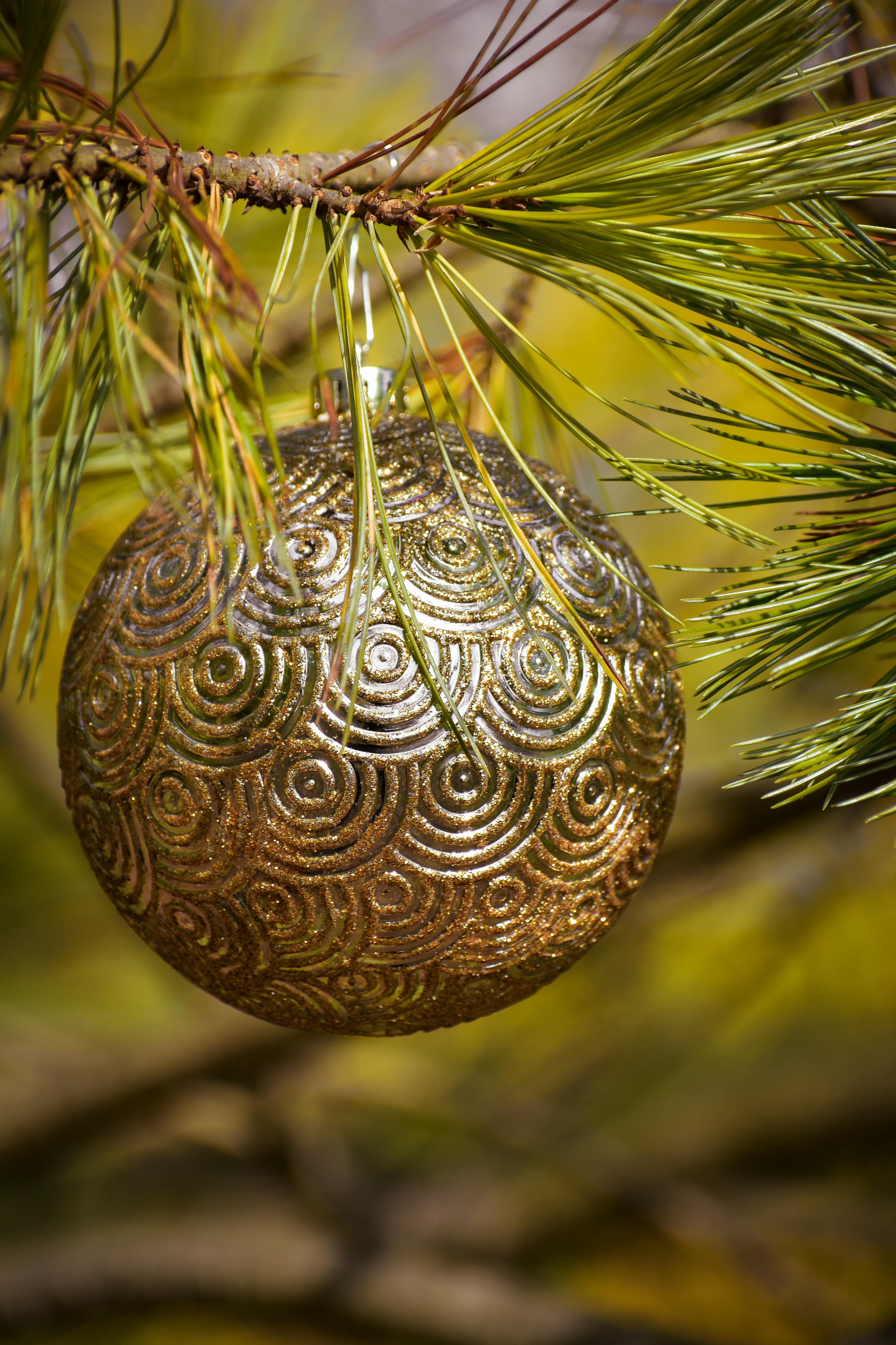 Golden toy hanging on branch of coniferous tree with green needles in nature