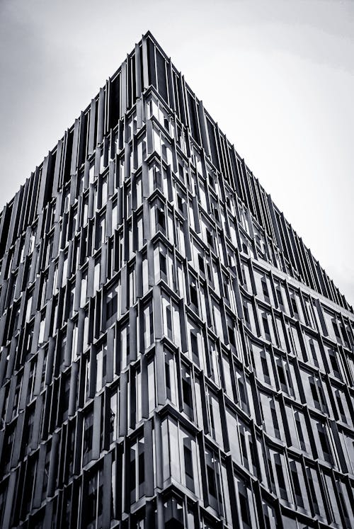 건축, 고층, 그레이스케일의 무료 스톡 사진