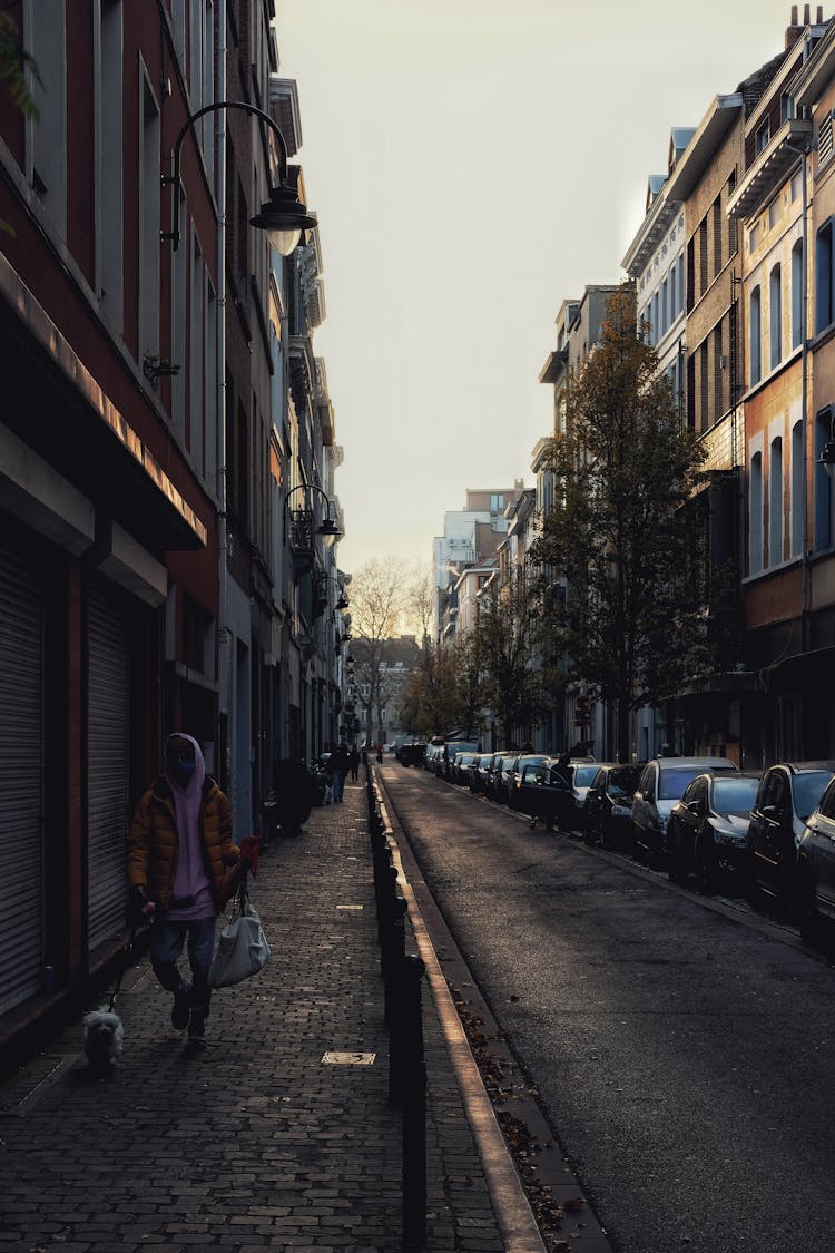 Man Walking His Dog On Empty City Street