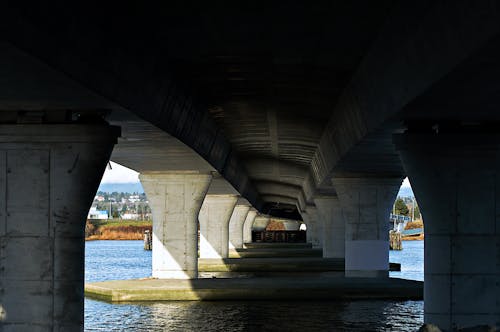 Free stock photo of bridge, leading lines, under
