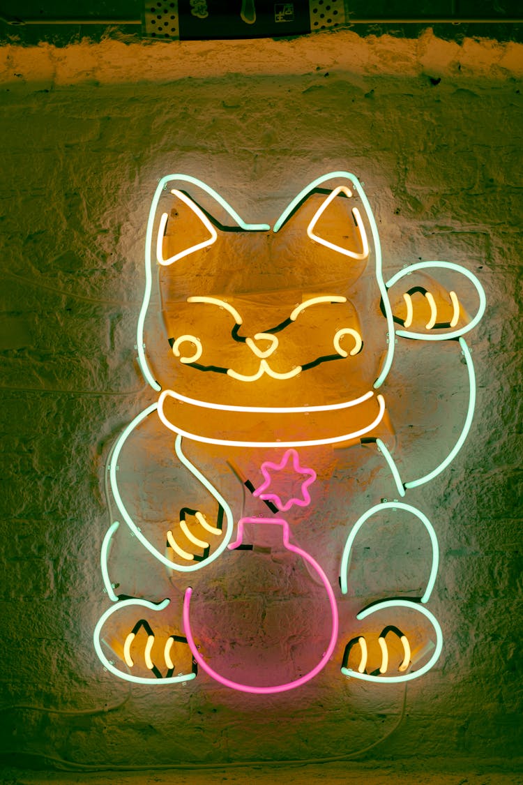 Close-up Of A Neon Cat 