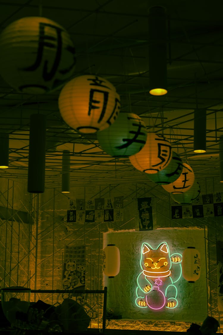 Paper Lanterns And A Neon Cat 