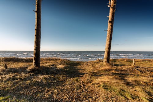 Gratis lagerfoto af bakke, blågrøn, dagtimer