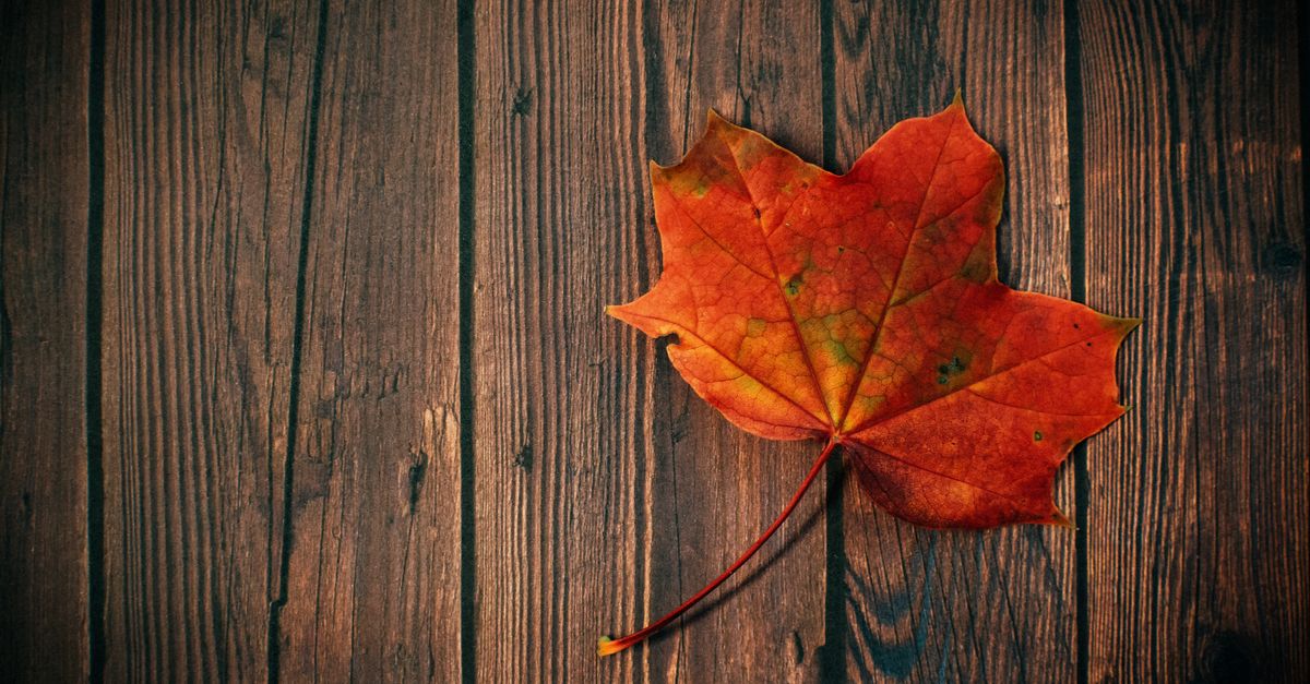 Les accessoires incontournables pour l'automne