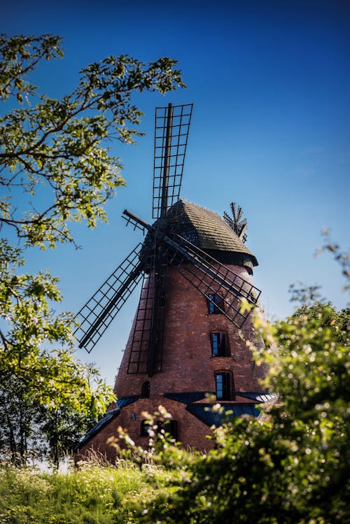 Lonely windmill near trees and bushes