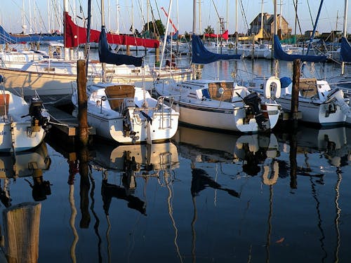 Free stock photo of boats docked, marina bay, sailboats