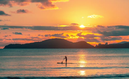Silhouette of Man Paddling on Sea Shore during Sunset