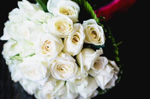 一束鮮花, 婚禮花束 的 免費圖庫相片