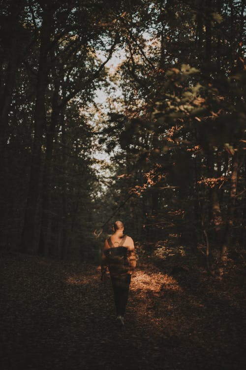 Free Man Walking in the Forest Stock Photo