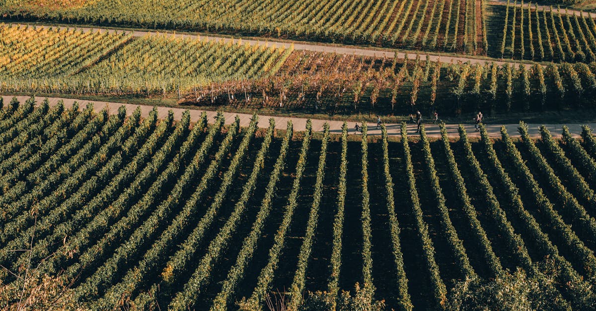 Les Véloroutes de France: Itinéraires à Tester