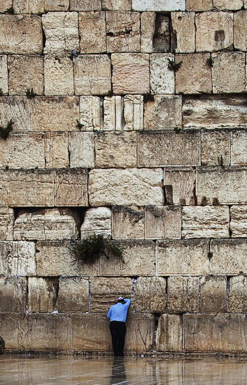 Free A man in blue stands at the Western Wall in Jerusalem, touching the stones with reverence. Stock Photo