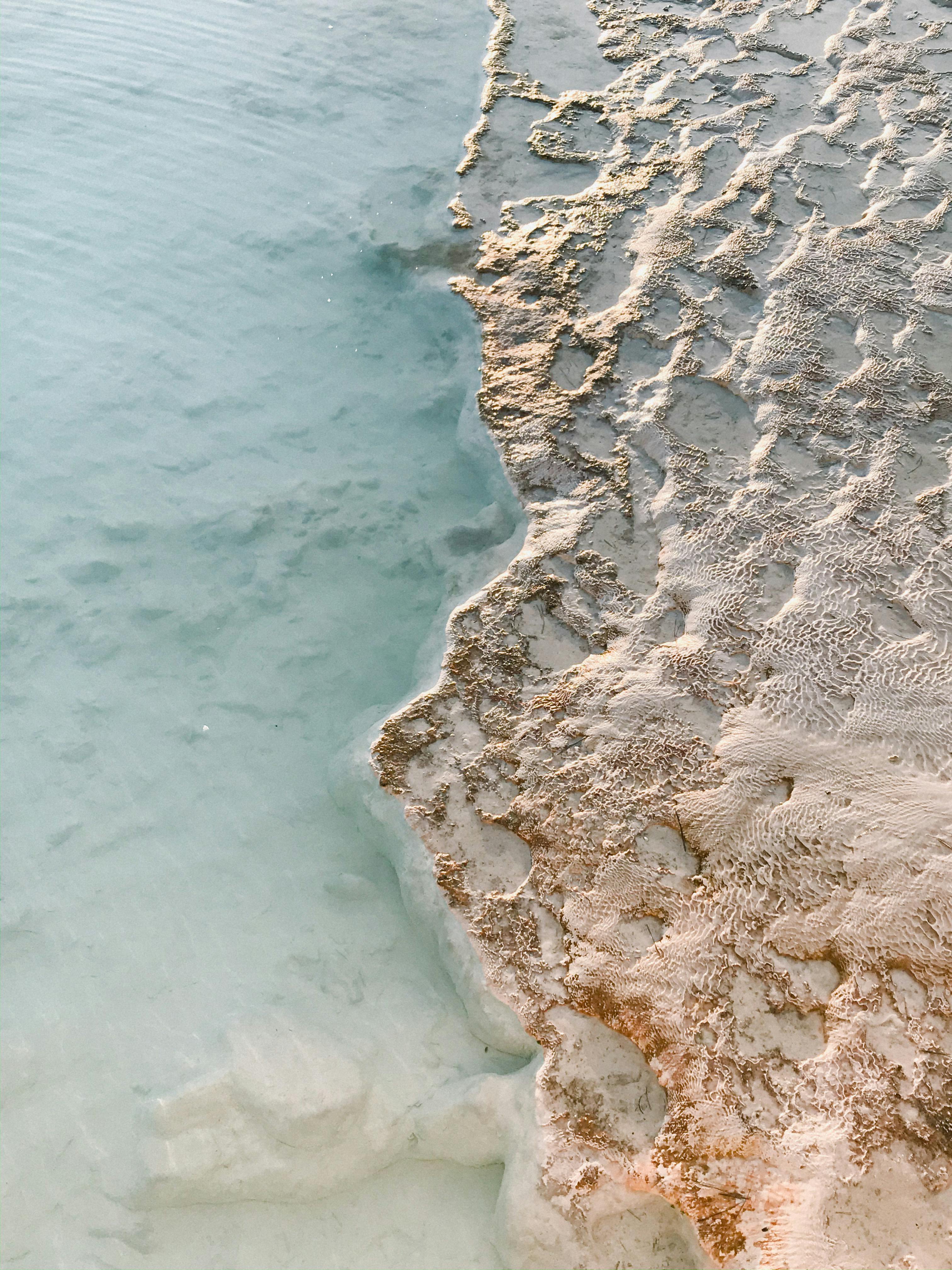 Sandy Shore and Sea · Free Stock Photo