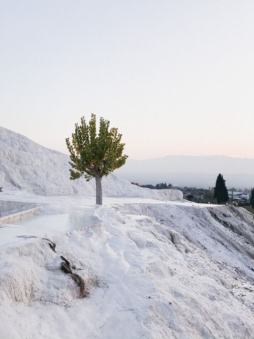 Free A solitary tree stands amidst a snowy terrain at sunset, capturing serene winter beauty. Stock Photo