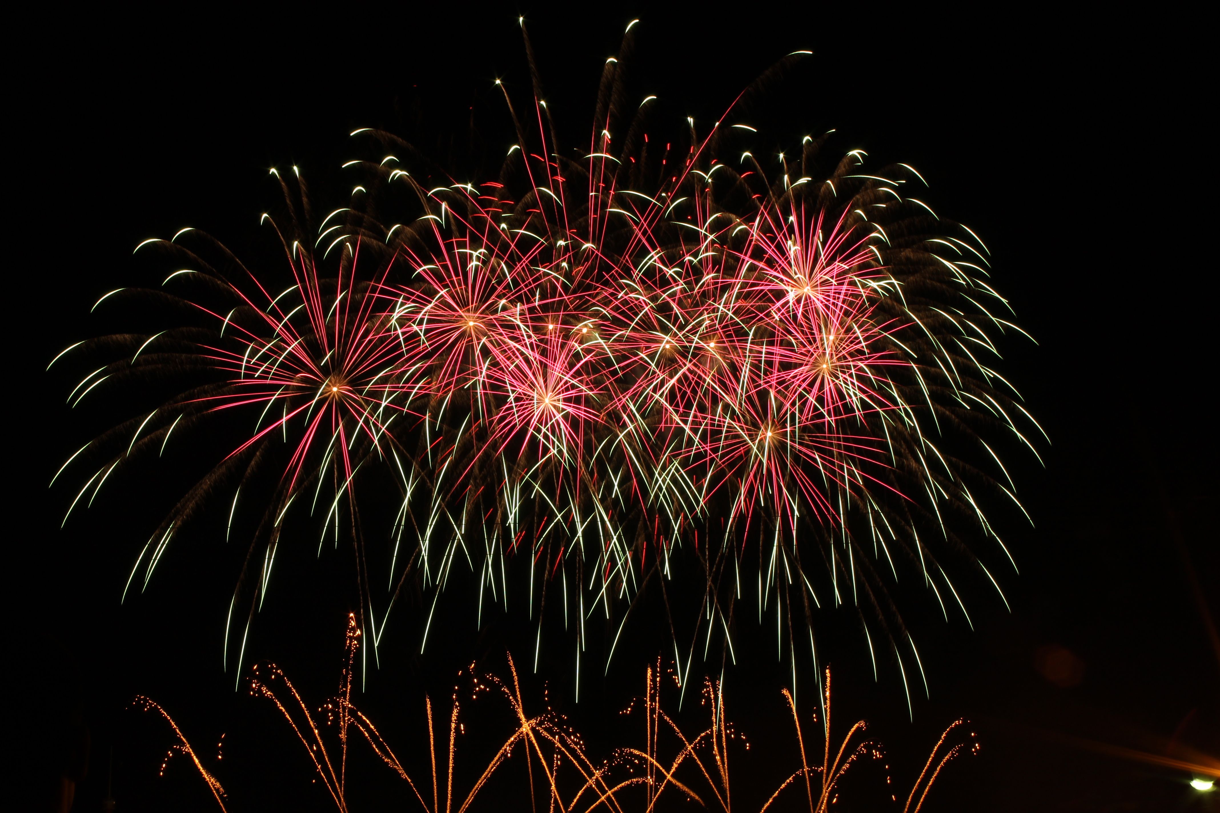 A Fireworks Display during Night time · Free Stock Photo