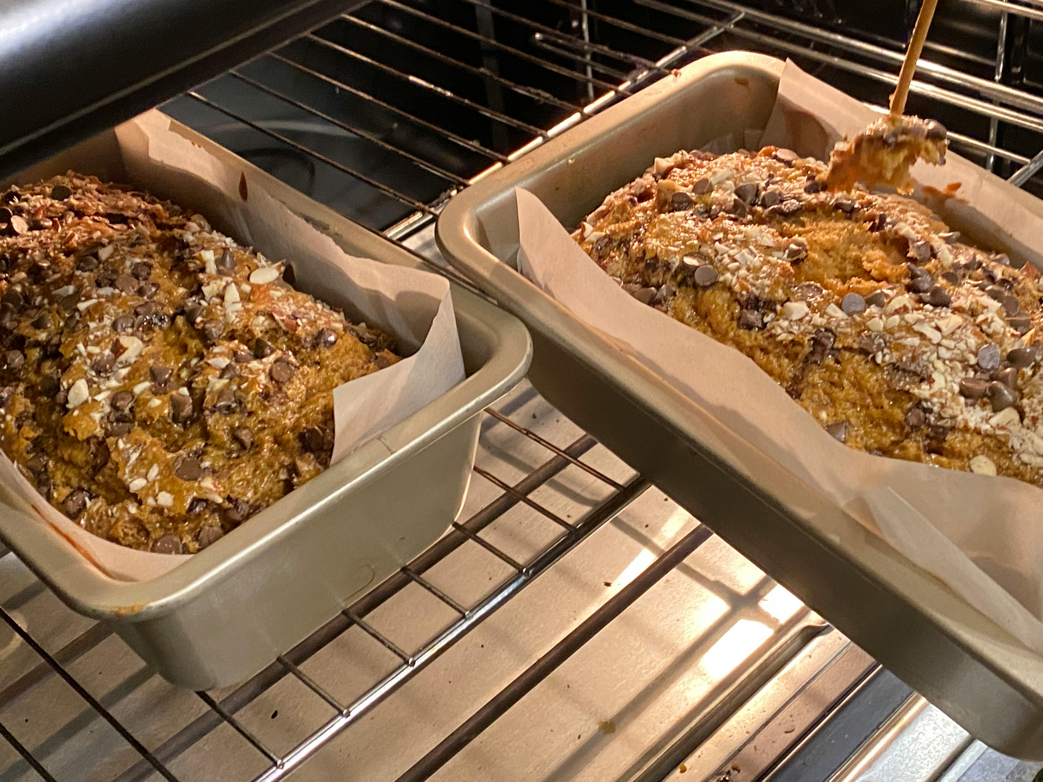 Traveler with backpack overlooking scenic view