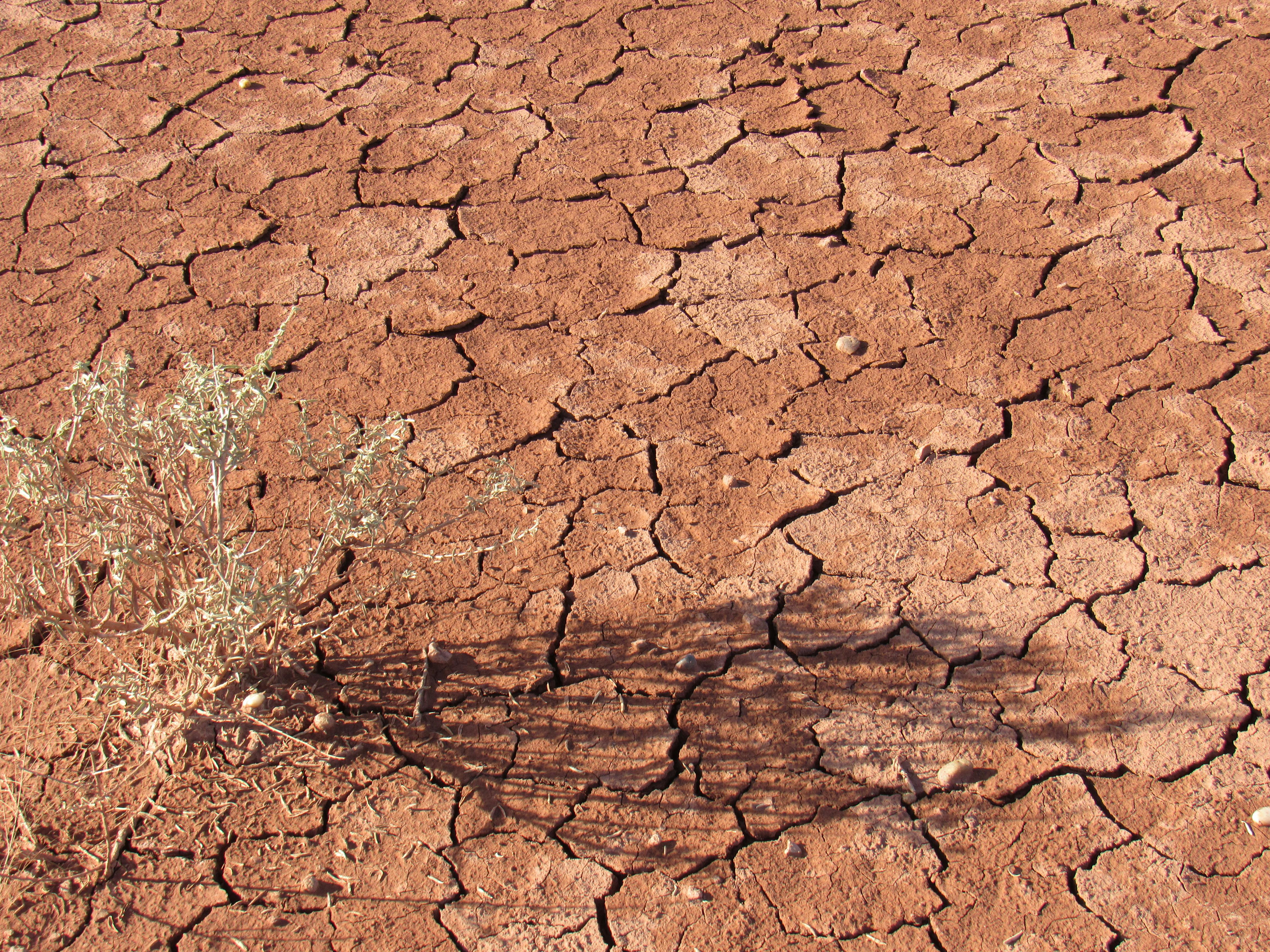 Free Stock Photo Of Crack Cracked Desert