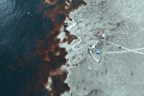 Free Top view of distant fishermen silhouettes standing in troubled sea water and fishing with net and storing in boxes in daylight Stock Photo