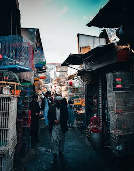 A bustling street market alley filled with animal cages and people, showcasing local culture.