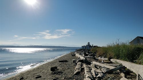 Free stock photo of beach, driftwood, lighthouse