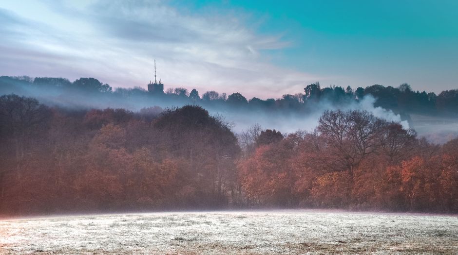 Scenic view of a misty countryside in England with beautiful fall colors.
