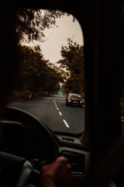 Crop unrecognizable person driving car on asphalt road surrounded by lush autumn trees against sunset sky