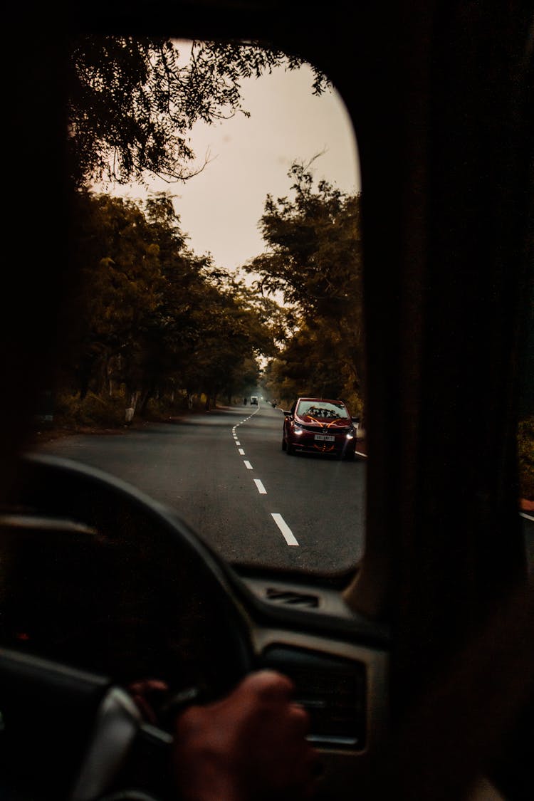 Anonymous Person Driving Car On Road Amidst Forest