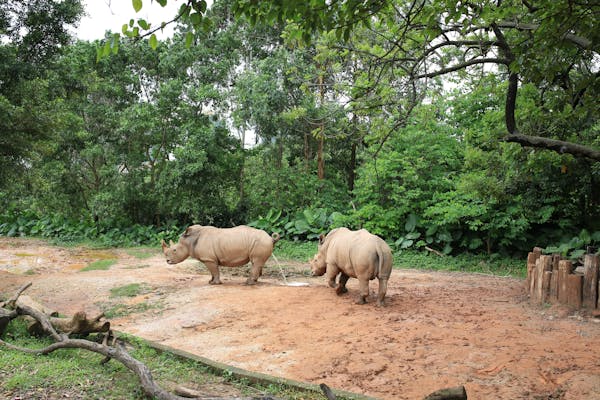 El Poder de la Fe en Tiempos Difíciles