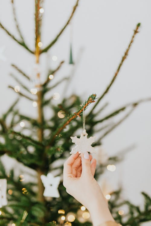 Person Holding White Snowflake Christmas Decoration · Free Stock Photo