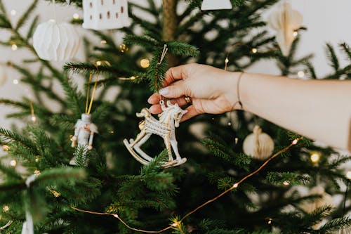 Ingyenes stockfotó boldog Karácsonyt, december, dekoráció témában