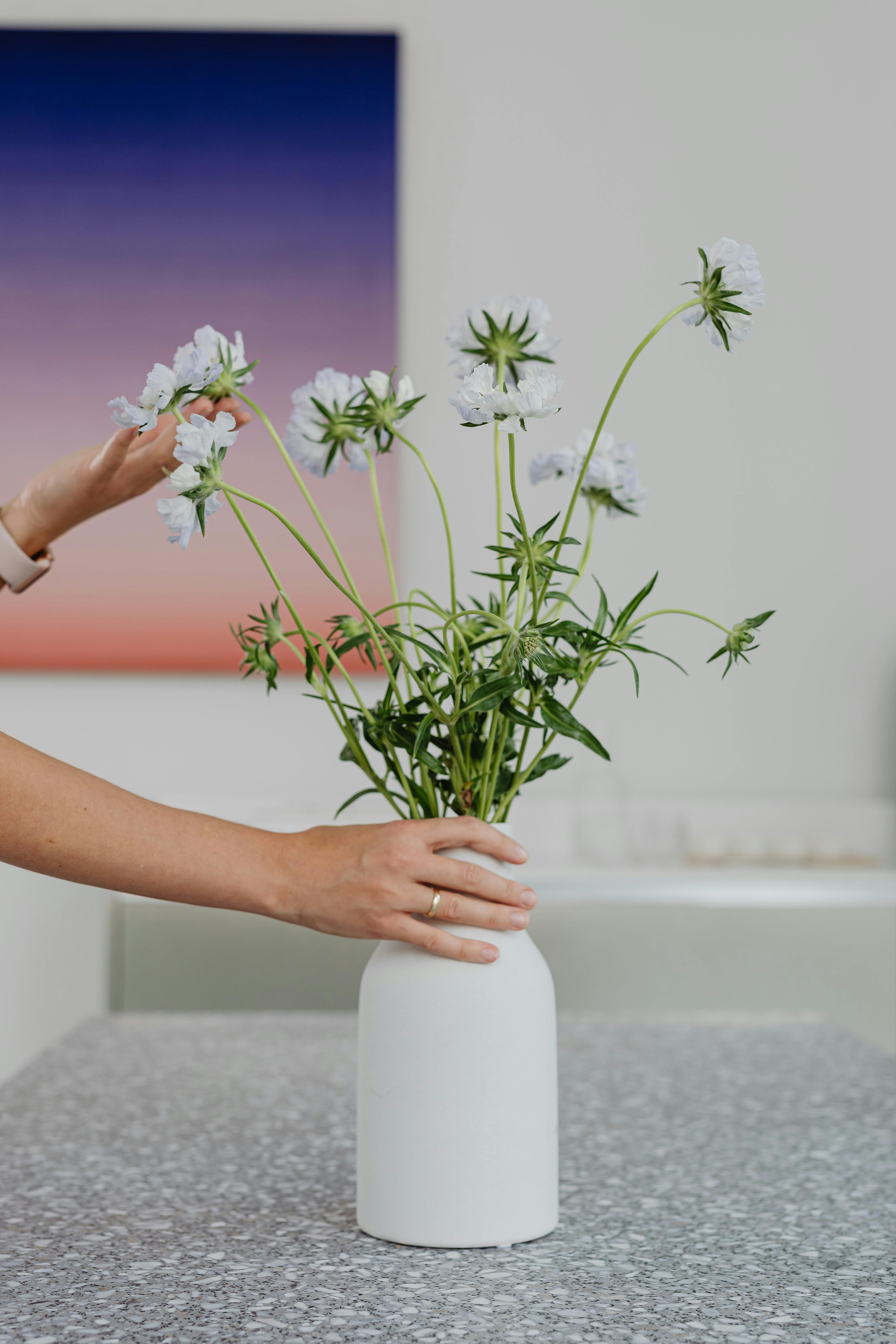 White flowers in a minimalist vase carefully arranged by hand on a speckled surface indoors.