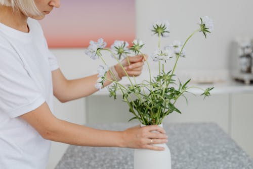 A Woman Arranging Flowers in a Vase