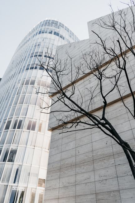 From below of contemporary high rise buildings with geometric shapes located near leafless tree