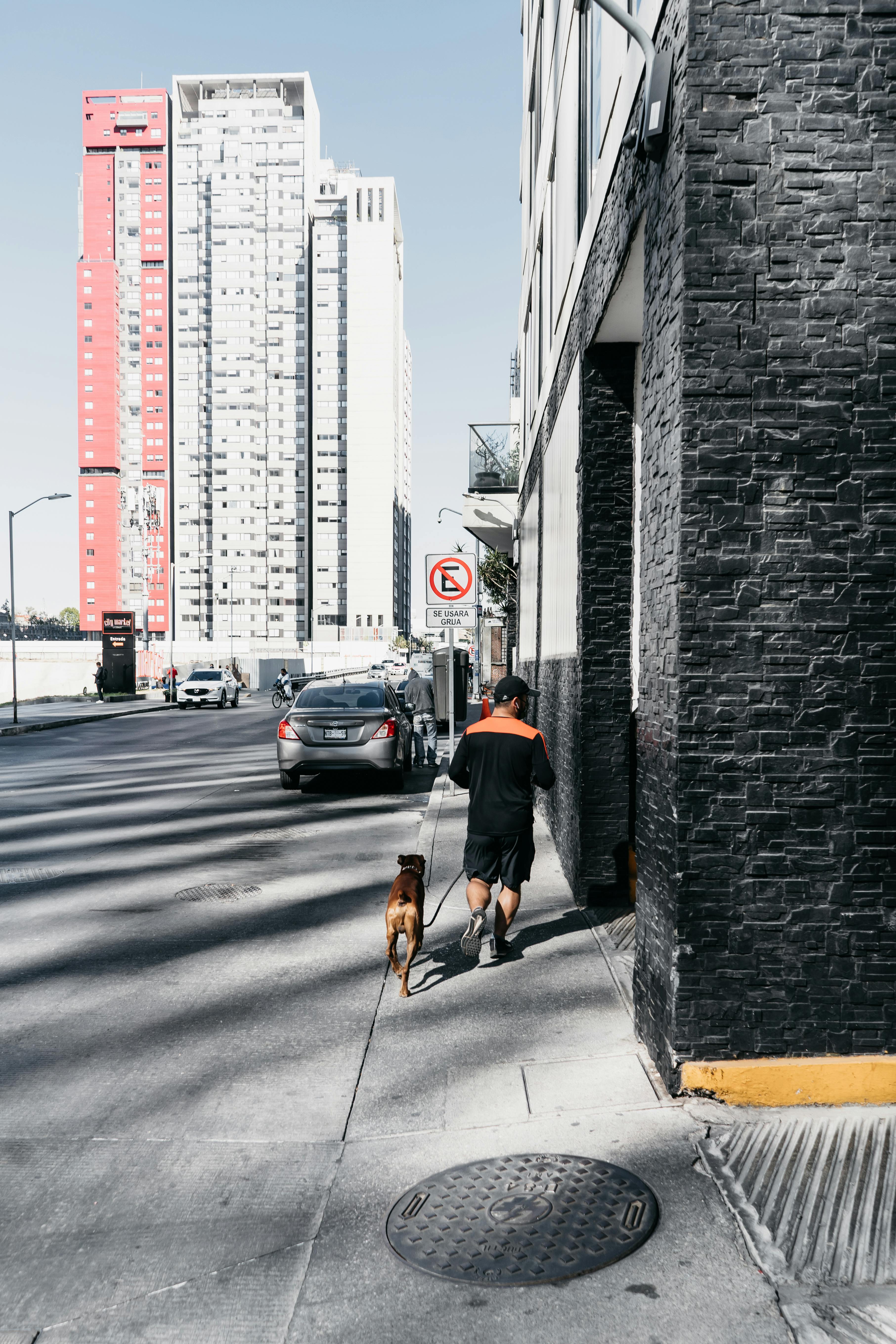 Unrecognizable man walking dog on sidewalk · Free Stock Photo