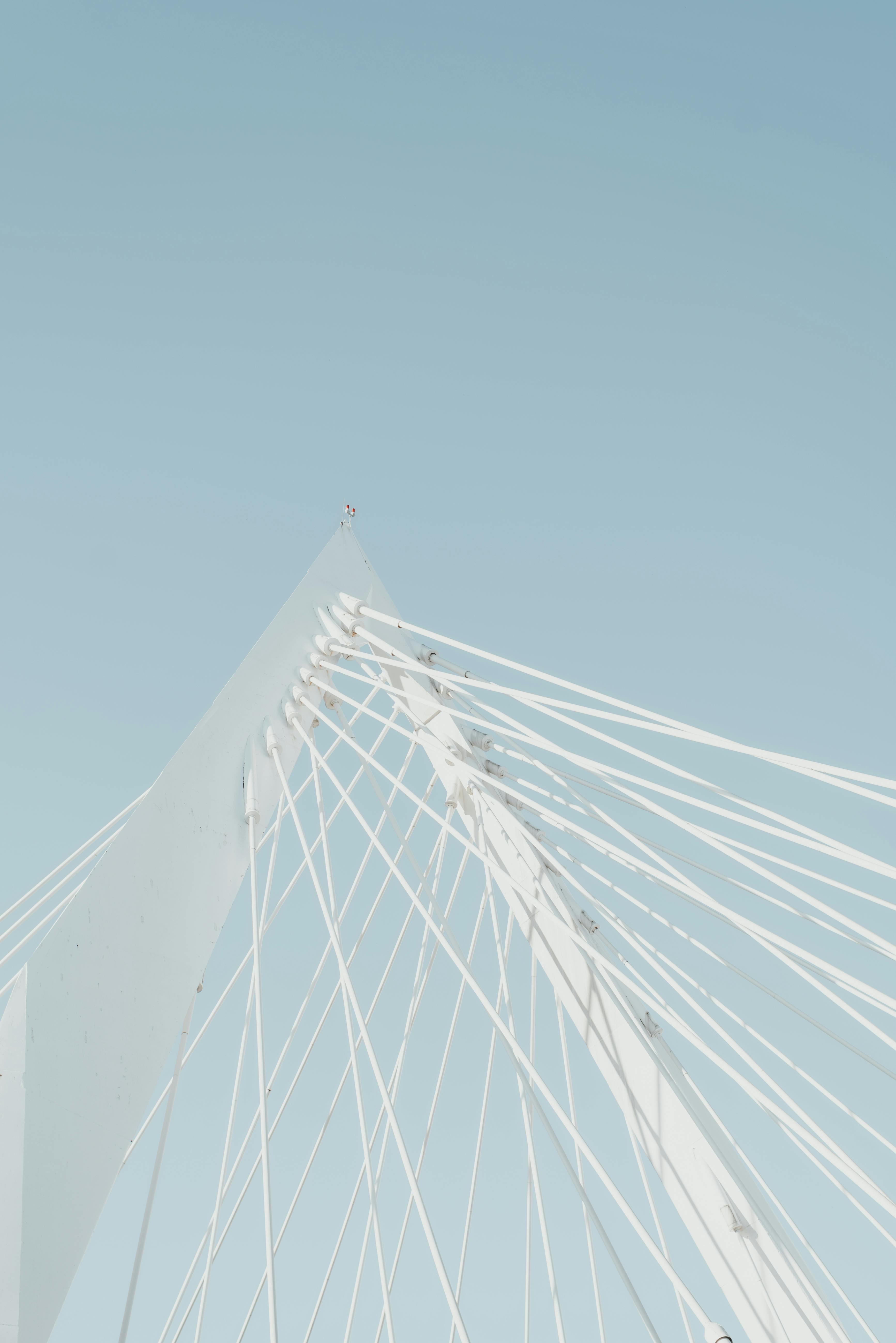 Firm Photos Download The BEST Free Firm Stock Photos HD Images Firm Photos Download The BEST Free Firm Stock Photos HD Images