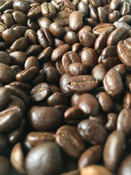 Free Roasted Coffee Beans in Close-Up Photography Stock Photo
