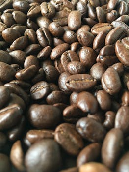 Detailed view of roasted coffee beans showcasing their rich aromatic quality and deep brown color.
